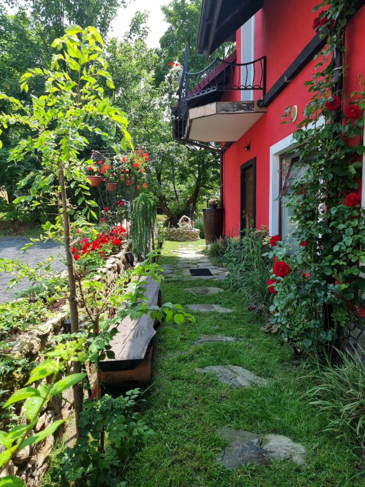 Apartamenty U Bodzia Stronie Śląskie Kültér fotó