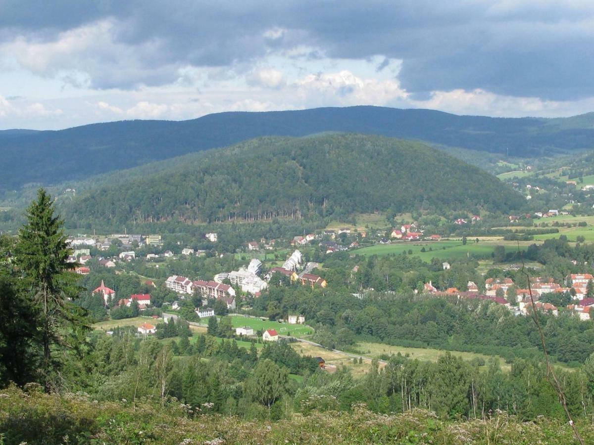 Apartamenty U Bodzia Stronie Śląskie Kültér fotó